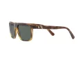 Polo Lunettes de Soleil PH 4133 5003/71