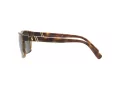 Polo Lunettes de Soleil PH 4133 5003/71
