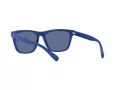 Polo Lunettes de Soleil PH 4167 5962/80
