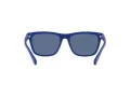 Polo Lunettes de Soleil PH 4167 5962/80