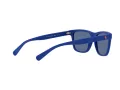 Polo Lunettes de Soleil PH 4167 5962/80