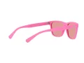 Polo Lunettes de Soleil PH 4167 5970/7V