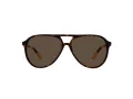 Polo Lunettes de Soleil PH 4173 5003/73