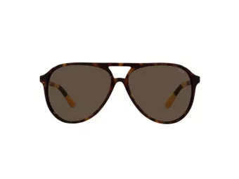 Polo Lunettes de Soleil PH 4173 5003/73