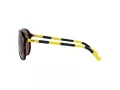 Polo Lunettes de Soleil PH 4173 5003/73