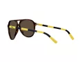 Polo Lunettes de Soleil PH 4173 5003/73