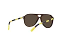 Polo Lunettes de Soleil PH 4173 5003/73