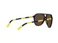 Polo Lunettes de Soleil PH 4173 5003/73