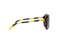 Polo Lunettes de Soleil PH 4173 5003/73