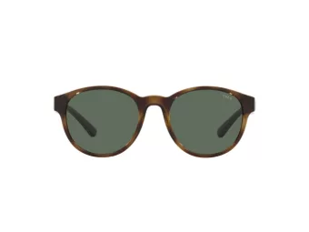 Polo Lunettes de Soleil PH 4176 5003/71
