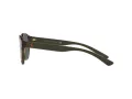 Polo Lunettes de Soleil PH 4176 5003/71
