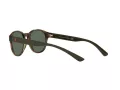 Polo Lunettes de Soleil PH 4176 5003/71