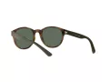 Polo Lunettes de Soleil PH 4176 5003/71