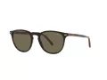Polo Lunettes de Soleil PH 4181 5260/3