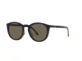 Polo Lunettes de Soleil PH 4183U 5057/3