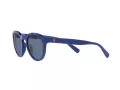 Polo Lunettes de Soleil PH 4184 5235/80