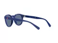 Polo Lunettes de Soleil PH 4184 5235/80