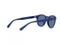 Polo Lunettes de Soleil PH 4184 5235/80