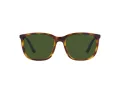 Polo Lunettes de Soleil PH 4185U 5003/71
