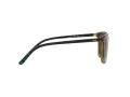Polo Lunettes de Soleil PH 4185U 5003/71