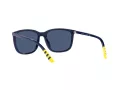 Polo Lunettes de Soleil PH 4185U 5506/80