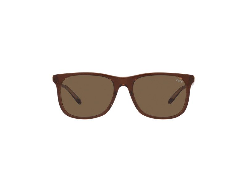 Polo Lunettes de Soleil PH 4186U 6029/73