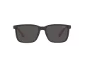 Polo Lunettes de Soleil PH 4189U 5375/87