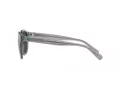 Polo Lunettes de Soleil PH 4192 541387