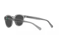 Polo Lunettes de Soleil PH 4192 541387