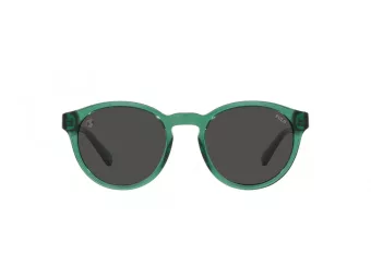 Polo Lunettes de Soleil PH 4192 608487