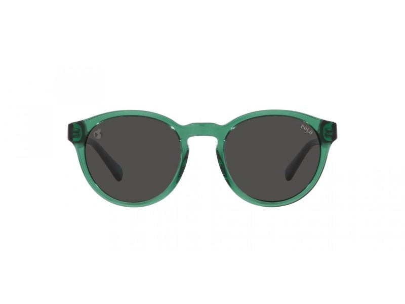 Polo Lunettes de Soleil PH 4192 608487