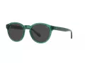 Polo Lunettes de Soleil PH 4192 608487