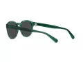 Polo Lunettes de Soleil PH 4192 608487