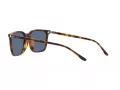 Polo Lunettes de Soleil PH 4194U 608980