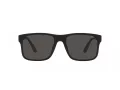 Polo Lunettes de Soleil PH 4195U 500187