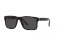Polo Lunettes de Soleil PH 4195U 500187
