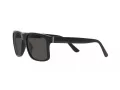 Polo Lunettes de Soleil PH 4195U 500187