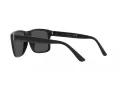 Polo Lunettes de Soleil PH 4195U 500187