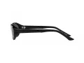 Polo Lunettes de Soleil PH 4197U 500187
