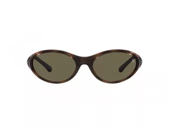 Polo Lunettes de Soleil PH 4197U 5003/3
