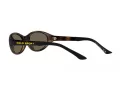 Polo Lunettes de Soleil PH 4197U 5003/3