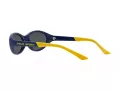 Polo Lunettes de Soleil PH 4197U 588655