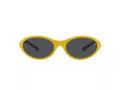 Polo Lunettes de Soleil PH 4197U 596187