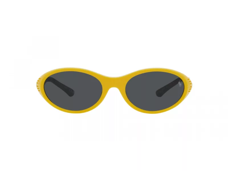 Polo Lunettes de Soleil PH 4197U 596187