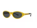 Polo Lunettes de Soleil PH 4197U 596187