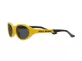 Polo Lunettes de Soleil PH 4197U 596187