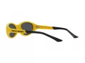 Polo Lunettes de Soleil PH 4197U 596187