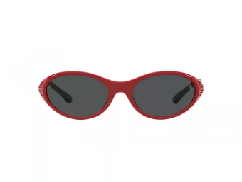 Polo Lunettes de Soleil PH 4197U 609187