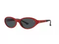 Polo Lunettes de Soleil PH 4197U 609187
