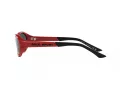 Polo Lunettes de Soleil PH 4197U 609187
